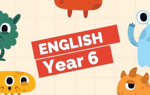 EN Y6
