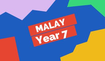 MY Y7