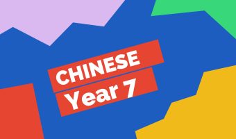 Y7 Chinese