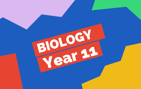 IGCSE Biology Year 11