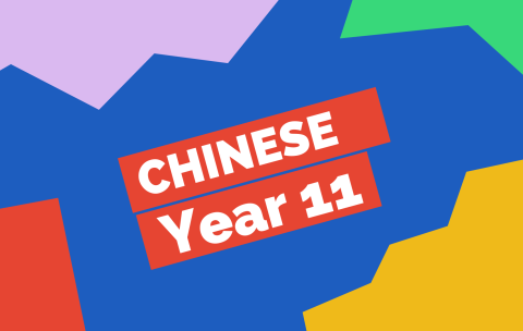 IGCSE Chinese Year 11